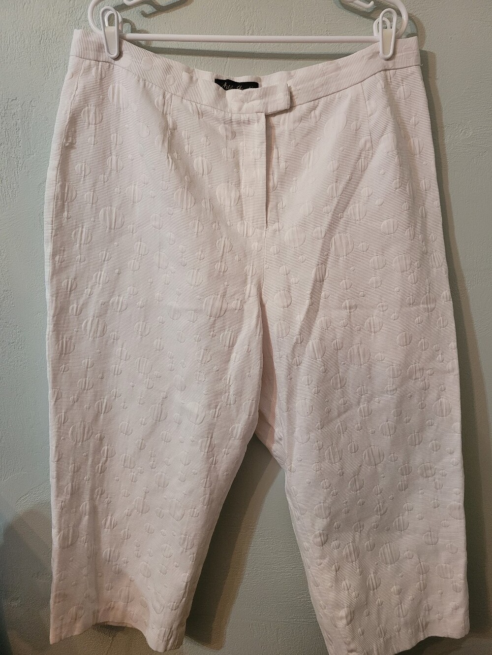 Ashley Steward Texture Unique & Stylish Plus Size Cropped Pants Size 20W!
